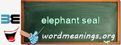 WordMeaning blackboard for elephant seal